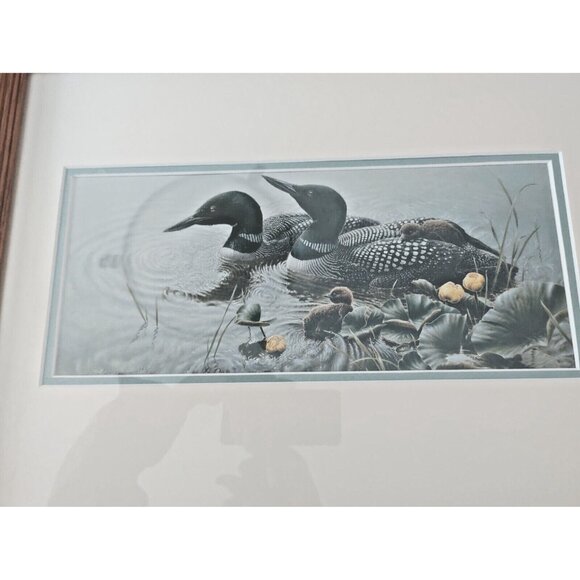 Framed & Matted Michael Dumas Art Print "Bright Water" Loons and Chicks 21 x 17 - Picture 11 of 13